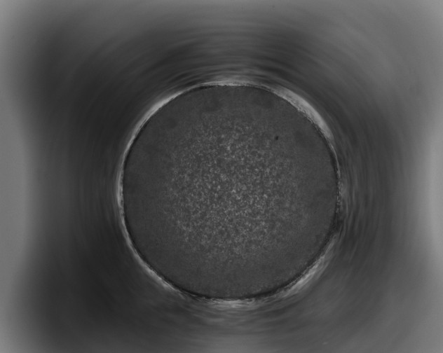 X0000097840855200803201516