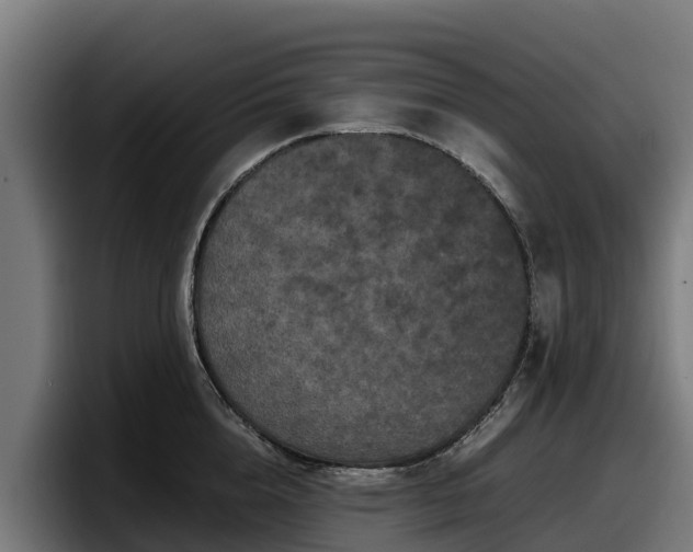 X0000097840856200803201516