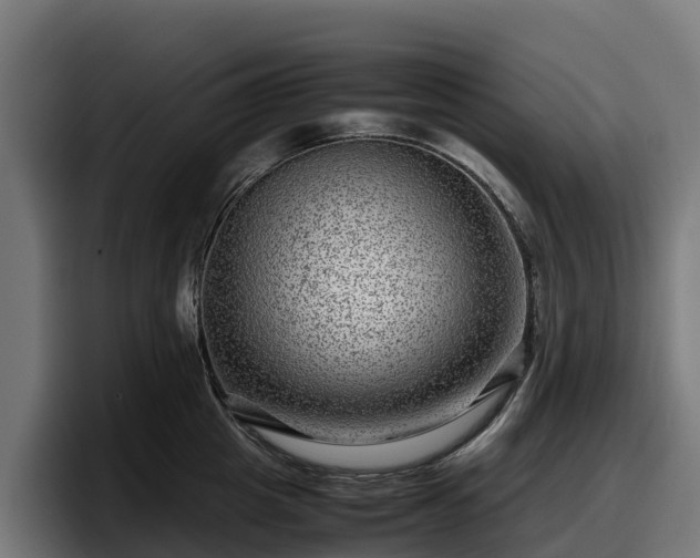 X0000097840857200803201516