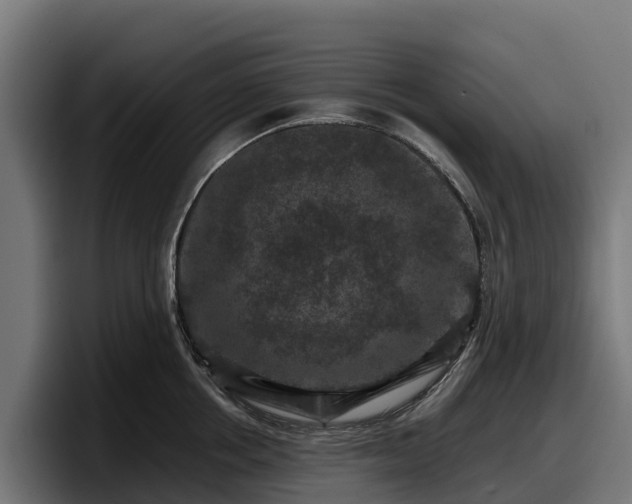 X0000097840858200803201516