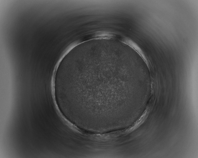 X0000097840859200803201516