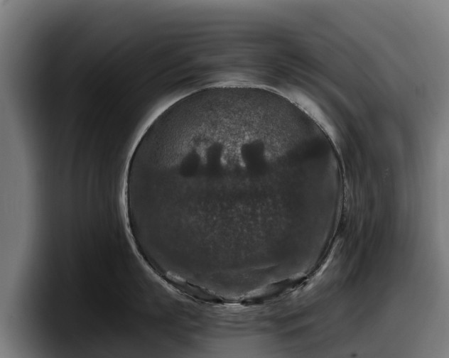 X0000097840863200803201516