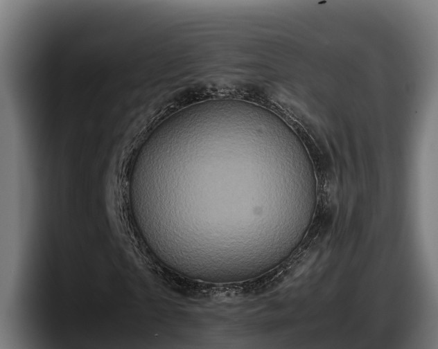X0000097840865200803201516