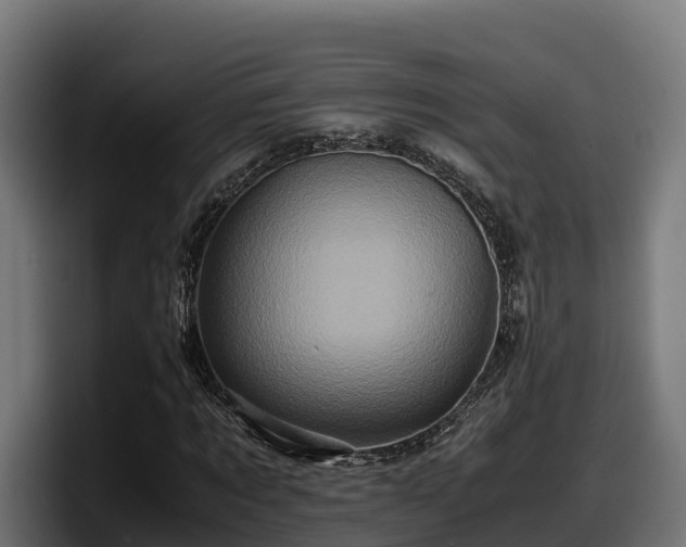 X0000097840869200803201516