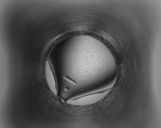 X0000097840872200803201516