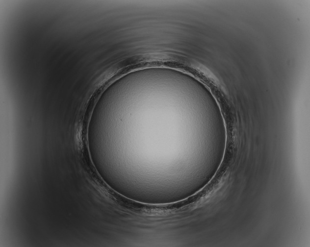 X0000097840873200803201516