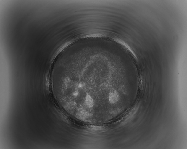 X0000097840874200803201516
