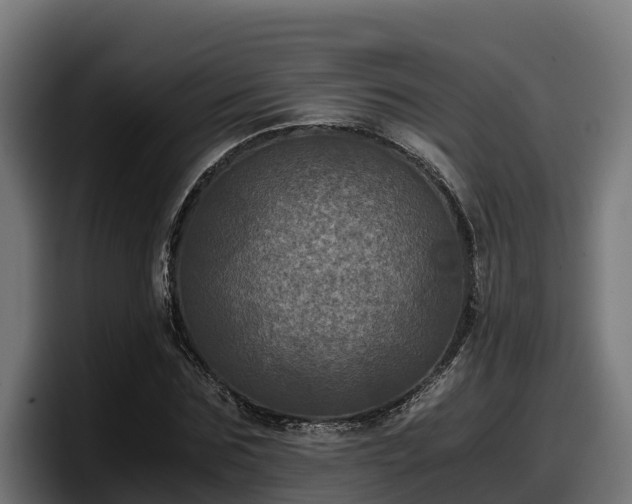 X0000097840875200803201516