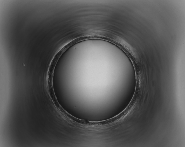 X0000097840876200803201516
