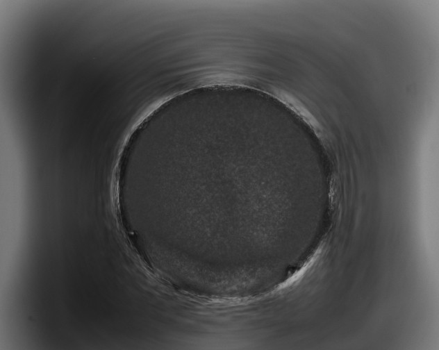 X0000097840877200803201516