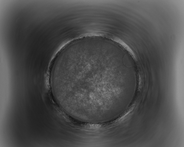 X0000097840878200803201516