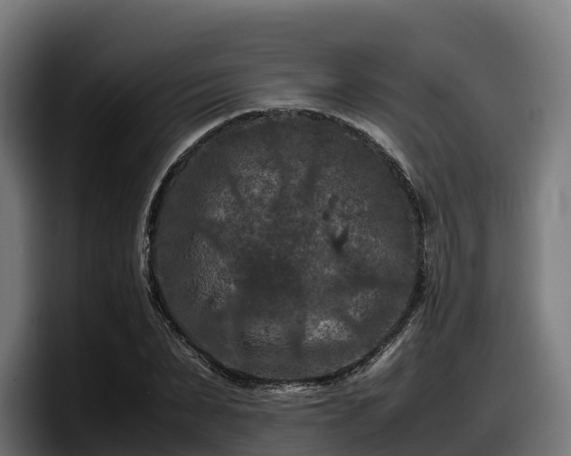 X0000097840879200803201516
