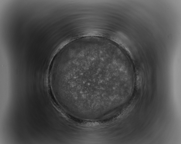 X0000097840882200803201516