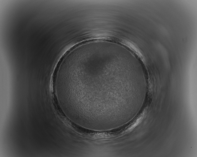 X0000097840883200803201516