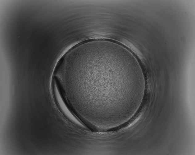 X0000097840885200803201516