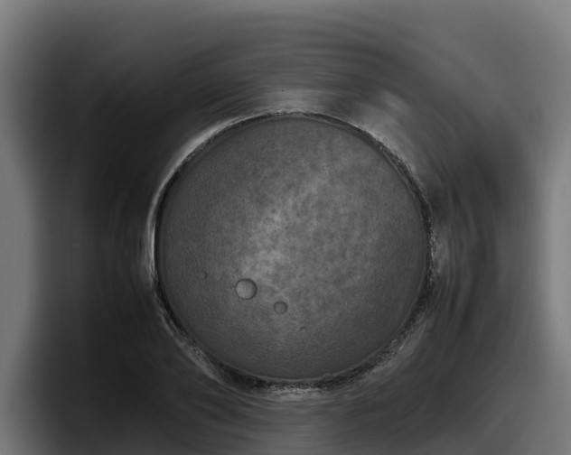 X0000097840886200803201516