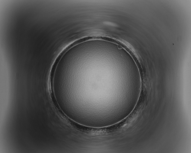 X0000097840887200803201516