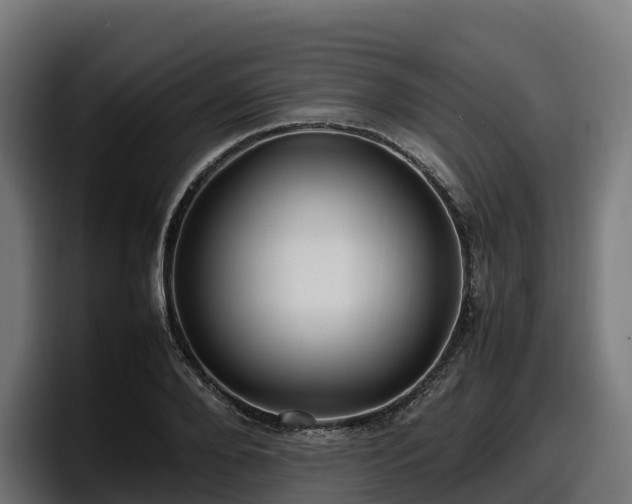 X0000097840888200803201516