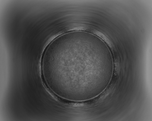 X0000097840890200803201516