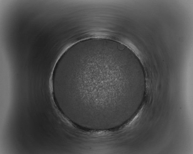 X0000097840891200803201516
