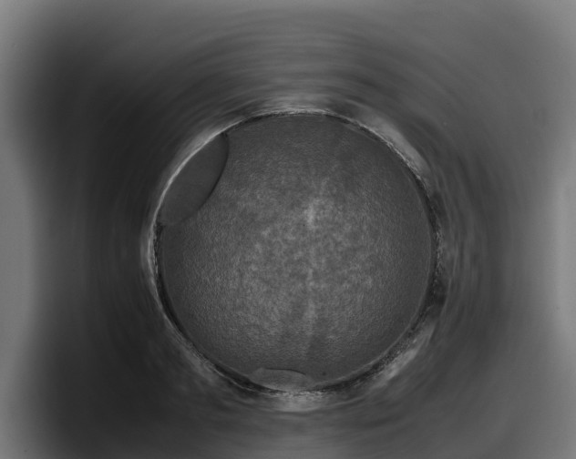X0000097840893200803201515