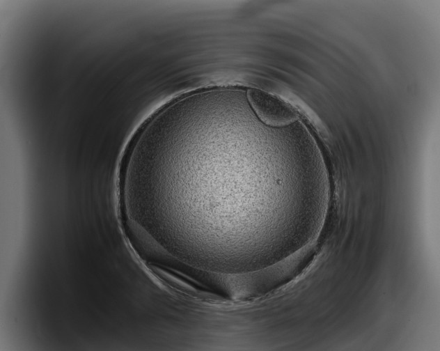 X0000097840894200803201515