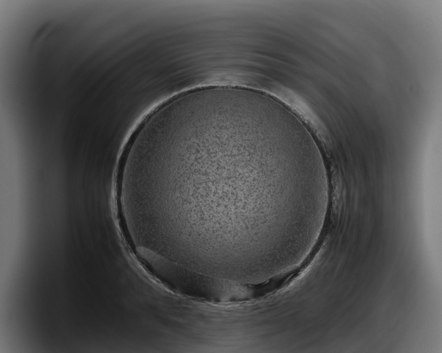 X0000097840896200803201515