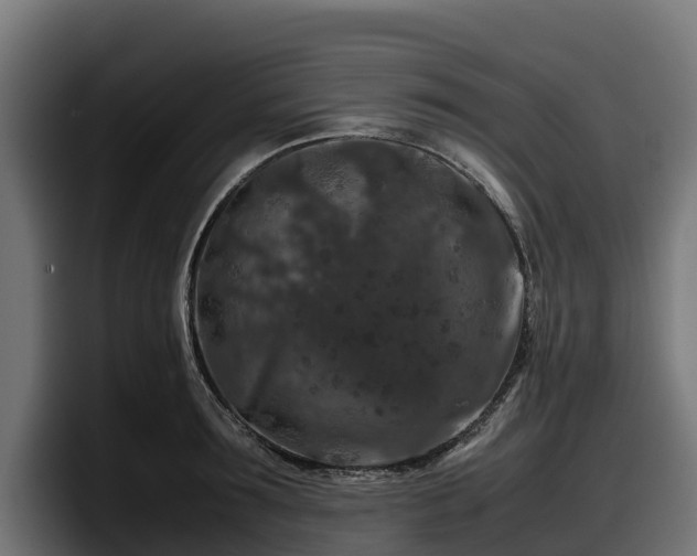 X0000097840899200803201515