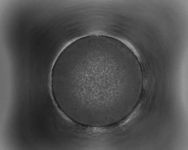 X0000097840903200803201515
