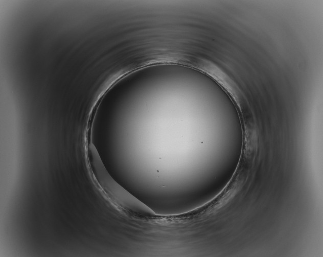 X0000097840906200803201515