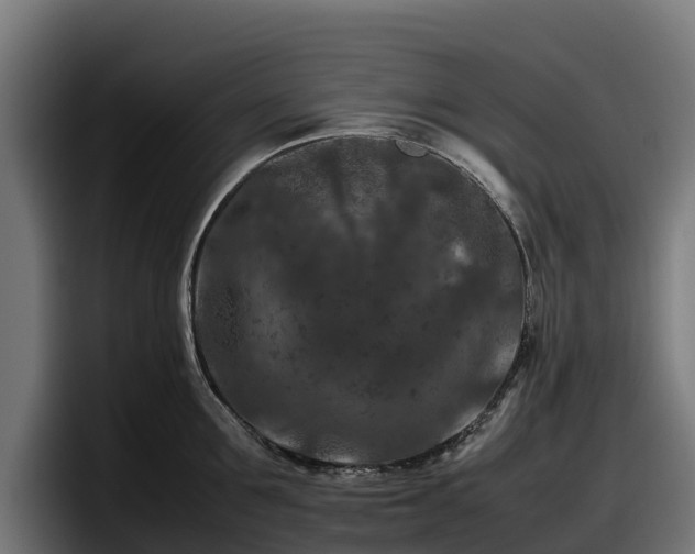 X0000097840907200803201515