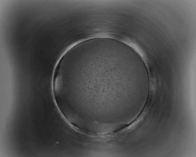X0000097840910200803201515