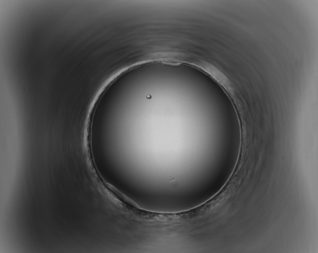 X0000097840912200803201515