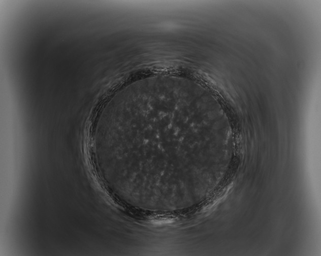 X0000097840913200803201515