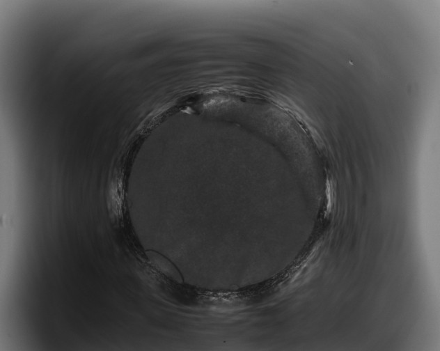 X0000097840915200803201515