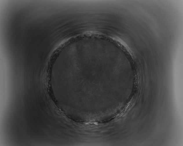 X0000097840919200803201515