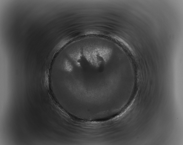 X0000097840921200803201515
