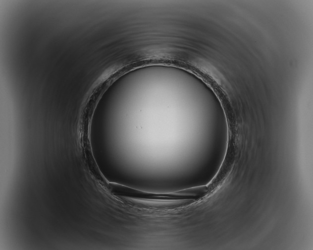 X0000097840922200803201515