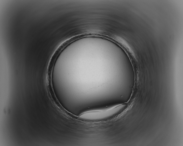 X0000097840924200803201515