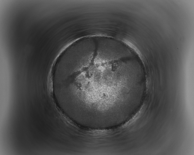 X0000097840925200803201515