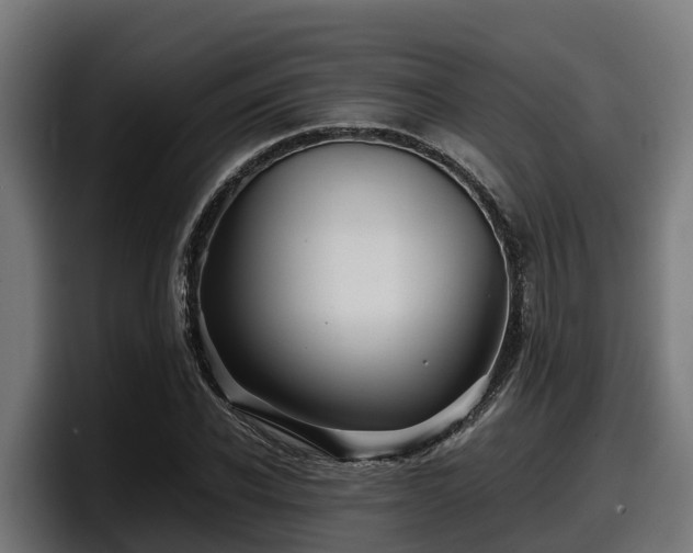 X0000097840926200803201515
