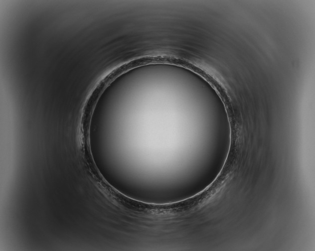 X0000097840927200803201515