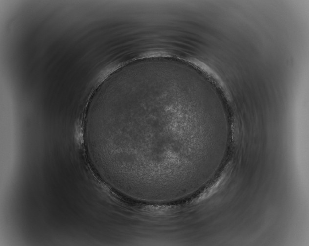 X0000097840929200803201515
