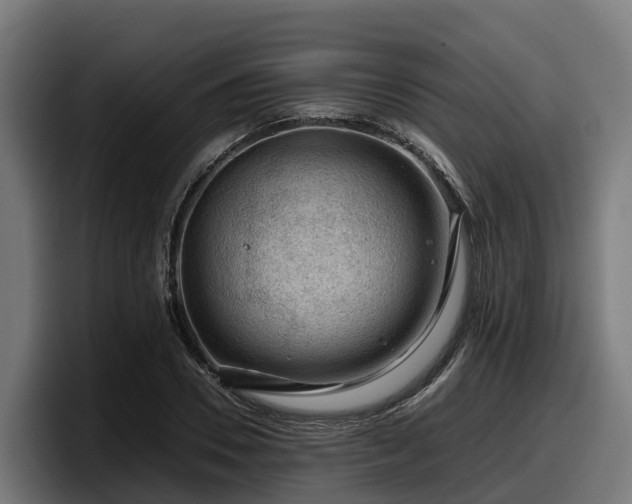X0000097840930200803201515