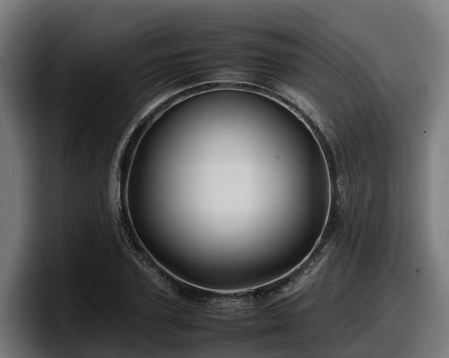 X0000097840931200803201515