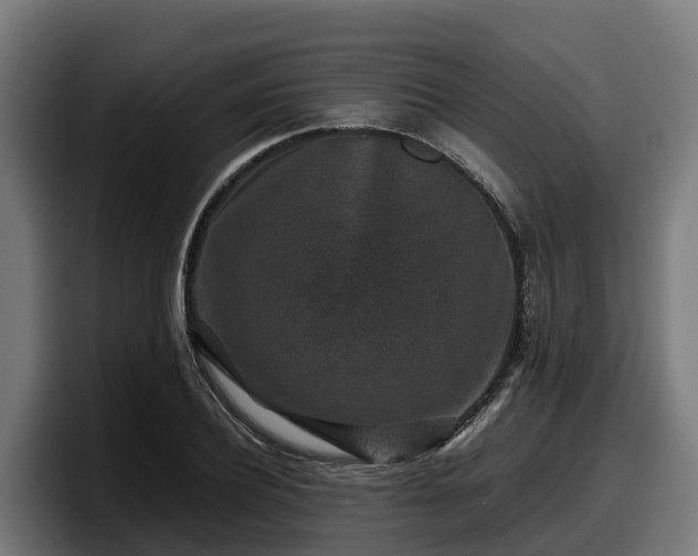 X0000097840932200803201515