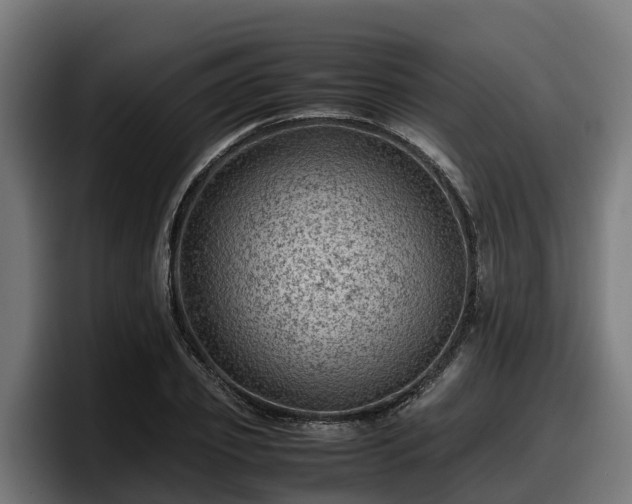 X0000097840933200803201515