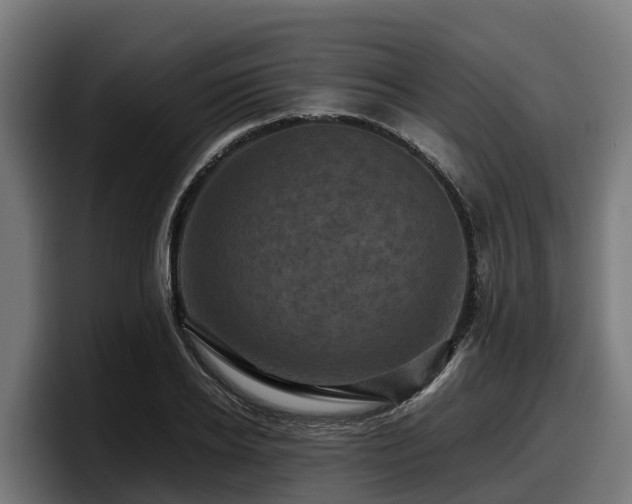 X0000097840934200803201515
