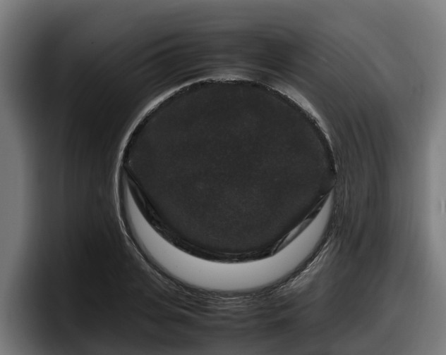 X0000097840935200803201515