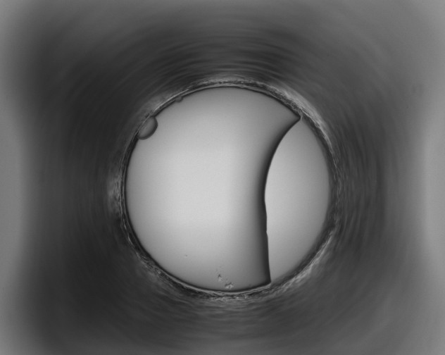 X0000097840937200803201515